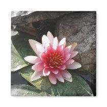 Pretty in Pink magnets by princessklb07 Pretty in Pink magnets