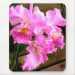 Pretty in Pink Orchids Mousepad