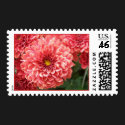 Pretty in Pink postage by awhitelaw Pretty in Pink postage