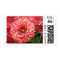 Pretty in Pink postage