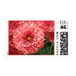Pretty in Pink Postage Stamps