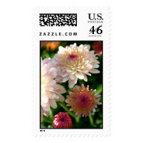 Pretty in Pink postage by lioneyes Pretty in Pink postage