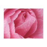 Pretty in Pink Post Cards