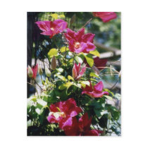 Pretty in Pink postcards