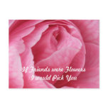 Pretty in Pink Postcard