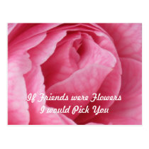 Pretty in Pink postcards