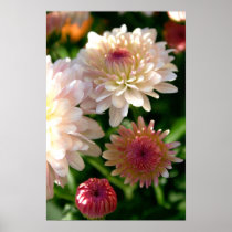 Pretty in Pink posters