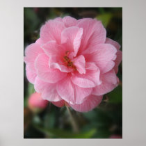 Pretty in Pink posters