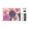 Pretty in Pink Stamp (Blank)