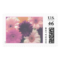 Pretty in Pink Stamp (Blank)