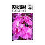 Pretty in Pink Stamps