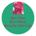 Pretty in Pink stickers by Priscilla48 Pretty in Pink stickers