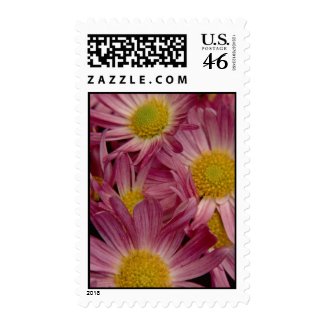Pretty In Pink: US Postage Stamps stamp
