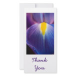 Pretty in Purple Iris Thank You Cards photo cards