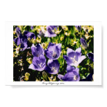 Pretty in Purple posters