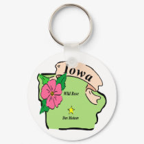 Pretty Iowa Map keychains