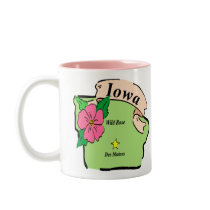 Pretty Iowa Map Mugs