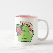 Pretty Iowa Map Mugs