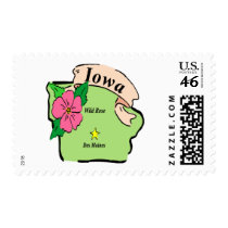 Pretty Iowa Map Stamps