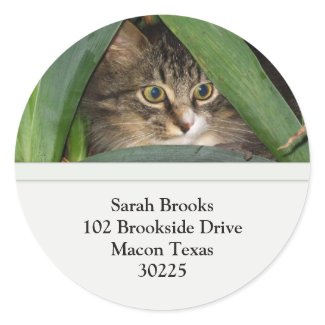 Pretty Kitty Address Labels sticker