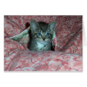 Pretty Kitty cards