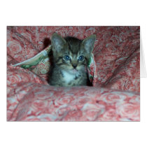 Pretty Kitty cards by Groovynet Pretty Kitty cards