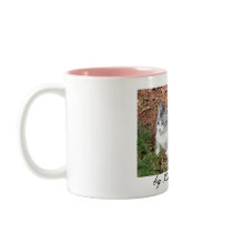 Pretty Kitty Mug