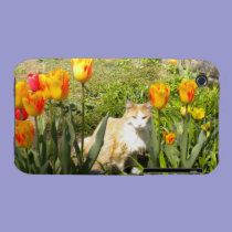 Pretty Kitty N The Tulip Garden iPhone 3 Case casemate cases
