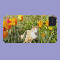 Pretty Kitty N The Tulip Garden iPhone 4 Case casemate cases
