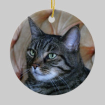 Pretty Kitty Ornament ornaments
