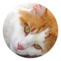 Pretty Kitty stickers by angelandspot Pretty Kitty stickers