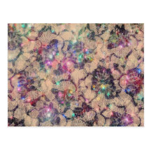 Pretty Lace Roses Postcard