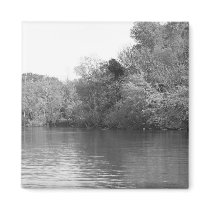 Pretty Lake magnets