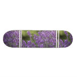 Pretty Lavender Fields Skateboard