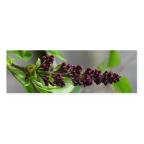 Pretty Lilac Bookmark business cards