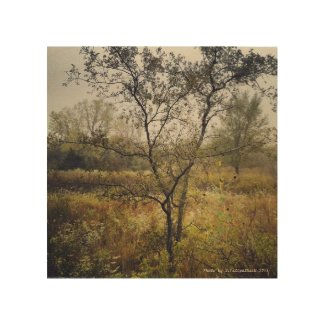 Pretty Little Country Tree Landscape Wood Print