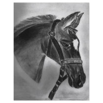 Pretty little foal flyers