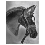 Pretty little foal flyers