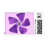 Pretty Little Purple Flower Postage Stamps