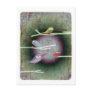 pretty love birds poem moon magic hope lomography postcard