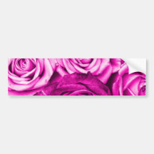 Pretty Magenta Pink Roses Flower Bouquet Bumper Stickers