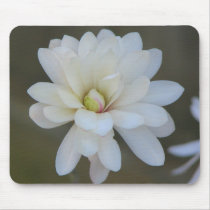 Pretty Magnolia Centennial  Bloom mousepads