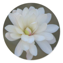 Pretty Magnolia Centennial Bloom stickers