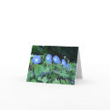 Pretty Maids in a Row - notecard by alyciakeating Pretty Maids in a Row - notecard