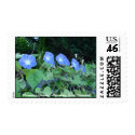 Pretty Maids in a Row - stamp by alyciakeating Pretty Maids in a Row - stamp