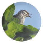 Pretty Mockingbird Dinner Plate