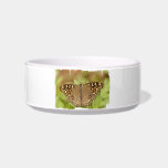 Pretty Moth Pet Bowl