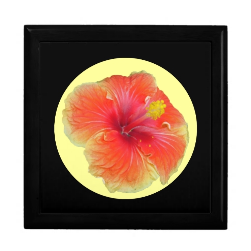 Pretty MultiColored Hibiscus giftbox Pretty MultiColored Hibiscus by Pretty MultiColored Hibiscus giftbox Pretty MultiColored Hibiscus by