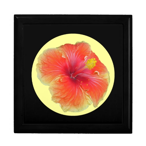 Pretty MultiColored Hibiscus giftbox Pretty MultiColored Hibiscus by 