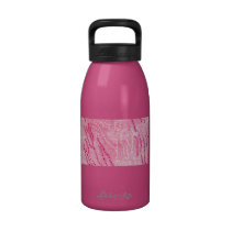 Pretty 'n Pink Bottle Reusable Water Bottles
